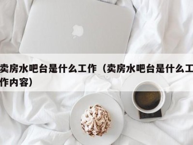 长沙卖房水吧台是什么工作（卖房水吧台是什么工作内容）