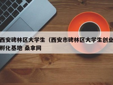 长沙西安碑林区大学生（西安市碑林区大学生创业孵化基地 桑拿网